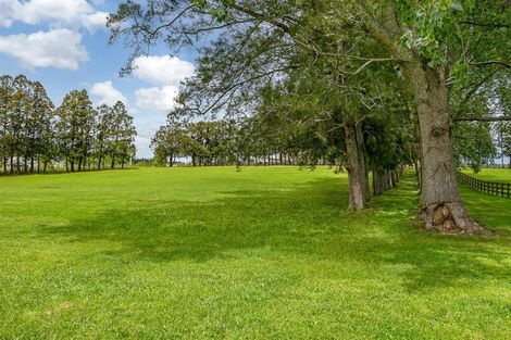 Photo of property in 713 Ararimu Valley Road, Helensville, 0882