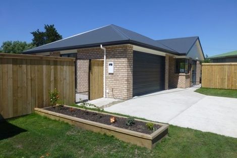 Photo of property in 132a Oxford Street, Lansdowne, Masterton, 5810