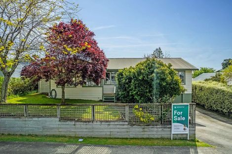 Photo of property in 152 Raeburne Street, Te Awamutu, 3800