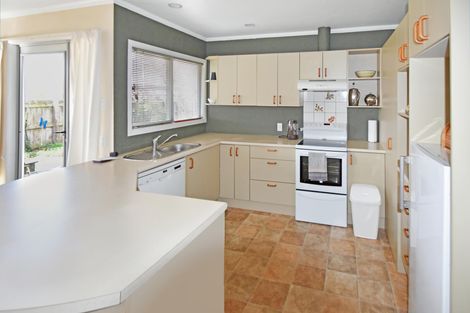 Photo of property in 60 Mackenzie Drive, Twizel, 7901