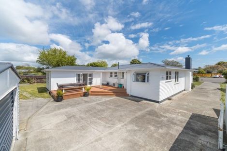 Photo of property in 32 Snowdon Avenue, Terrace End, Palmerston North, 4410