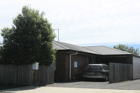 Photo of property in 16 Rogers Street, Blenheim, 7201