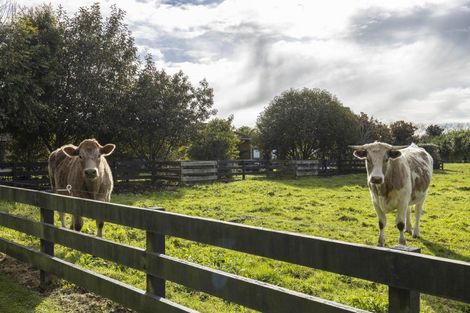 Photo of property in 1230 Egmont Road, Egmont Village, New Plymouth, 4372