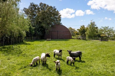 Photo of property in 5 Scotsman Valley Road, Tauwhare, Hamilton, 3287