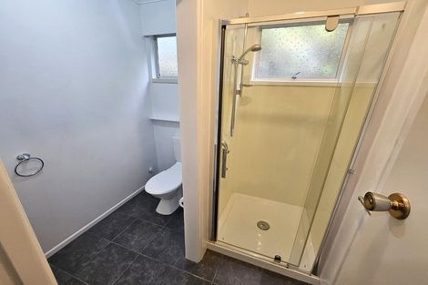 Photo of property in 52 Vine Avenue, Maungatapu, Tauranga, 3112