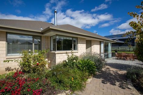 Photo of property in 17 Missy Crescent, Mount Pisa, Cromwell, 9383