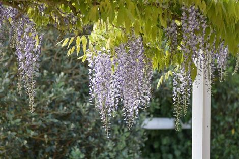 Photo of property in 1315 Oropi Road, Oropi, Tauranga, 3173