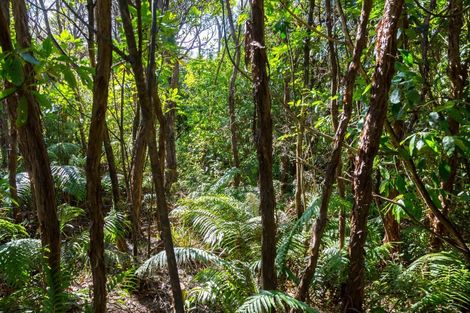 Photo of property in 294 Waiohine Gorge Road, Dalefield, Carterton, 5791