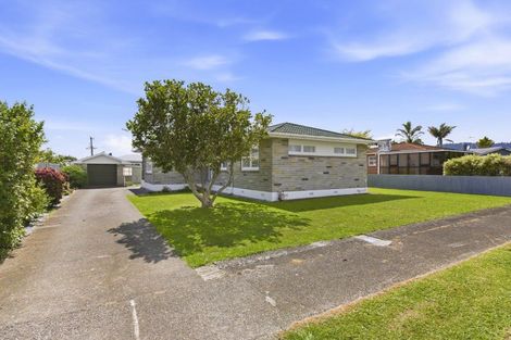 Photo of property in 3 Selwyn Street, Levin, 5510
