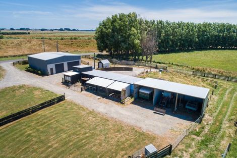 Photo of property in 269 Hoihere Road, Tiakitahuna, Palmerston North, 4477