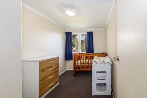 Photo of property in 233 Lumsden Place, Akina, Hastings, 4122