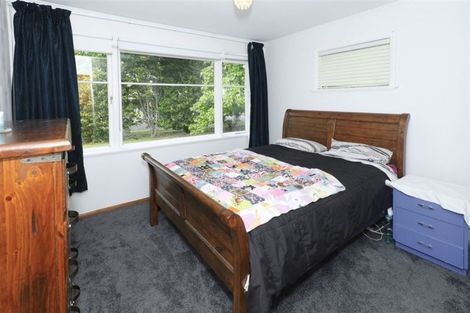 Photo of property in 31 Gillies Avenue, Claudelands, Hamilton, 3214