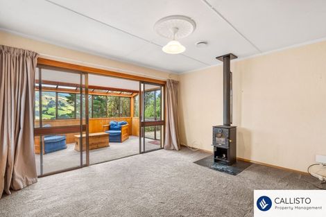 Photo of property in 213 Signal Hill Road, Opoho, Dunedin, 9010