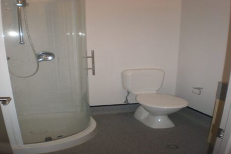 Photo of property in Dual Apartments, 106/142 Vivian Street, Te Aro, Wellington, 6011