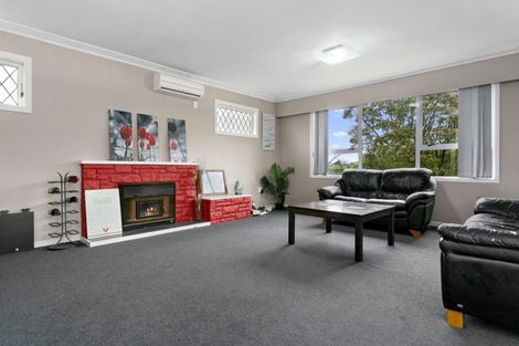 Photo of property in 113 Buckland Street, Putaruru, 3411
