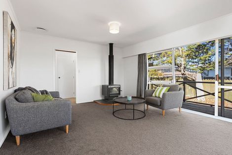 Photo of property in 10 Hinerau Street, Henderson, Auckland, 0612