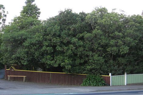 Photo of property in 161 Victoria Avenue, Hokowhitu, Palmerston North, 4410