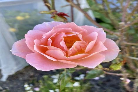 Photo of property in 102 Pacific Drive, Southbridge, Leeston, 7683