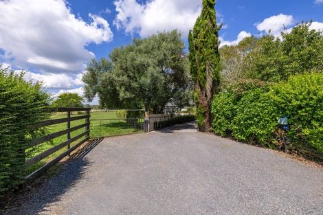 Photo of property in 86 Forrest Road, Cambridge, 3493