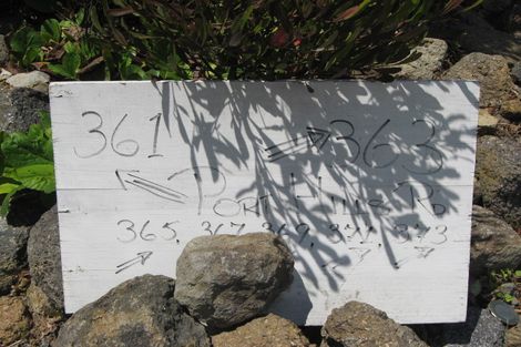 Photo of property in 365 Port Hills Road, Hillsborough, Christchurch, 8022