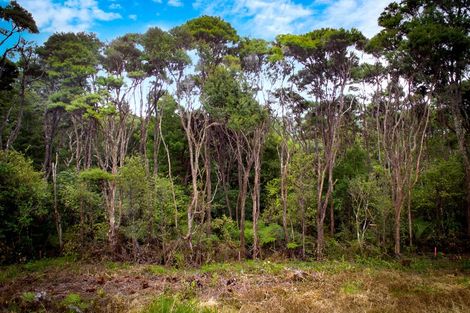 Photo of property in 328 Upper Harbour Drive, Greenhithe, Auckland, 0632