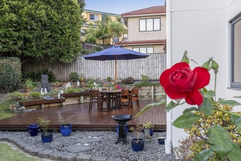 Photo of property in 17 Virginia Street, Henderson, Auckland, 0612