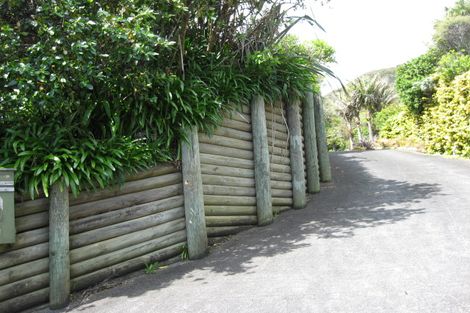 Photo of property in 58 Rayner Road, Piha, 0772