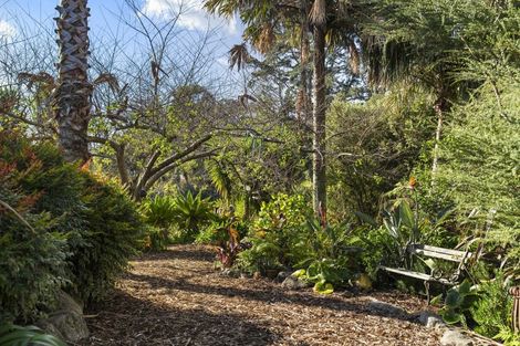 Photo of property in 20 Titoki Lane, Whangamata, 3691