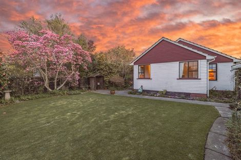 Photo of property in 184 Harewood Road, Papanui, Christchurch, 8053