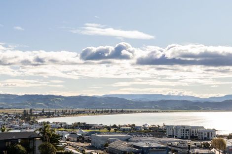 Photo of property in 21 Denholm Road, Hospital Hill, Napier, 4110