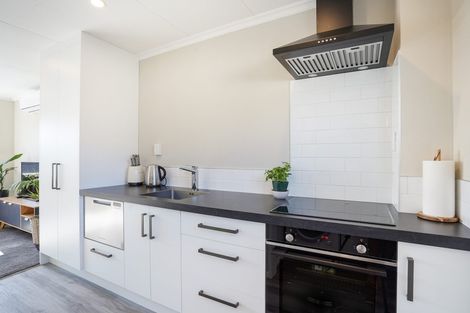 Photo of property in 12c Colombo Street, Hokowhitu, Palmerston North, 4410