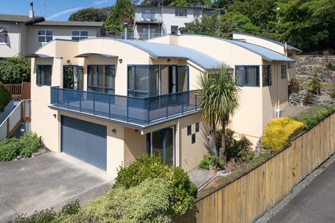 Photo of property in 313 Hill Street, Richmond, 7020