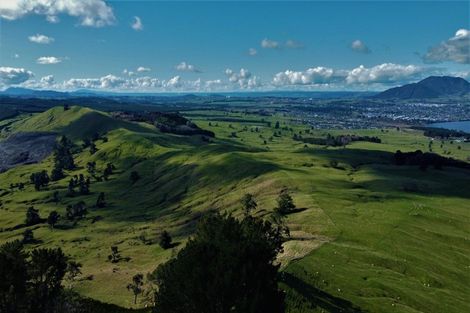 Photo of property in 40 Trig Hill, Acacia Bay, Taupo, 3385