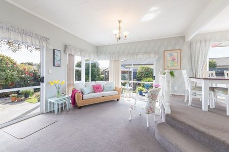 Photo of property in 19 Chelsea Avenue, Richmond, 7020