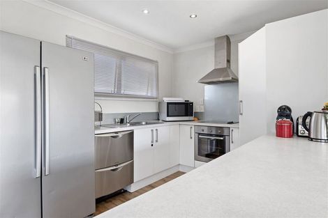 Photo of property in 3 Mason Place, Richmond, 7020