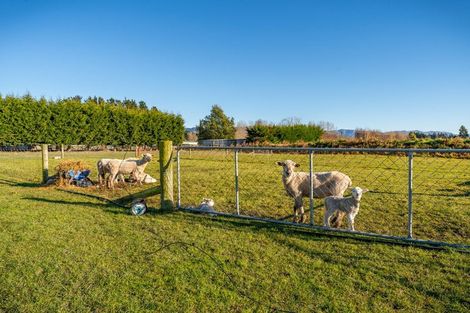 Photo of property in 14 Bathgates Road, Waimate, 7980
