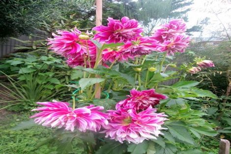 Photo of property in 43 Morero Terrace, Taumarunui, 3920