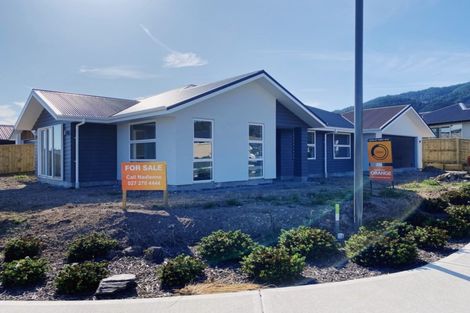 Photo of property in 22 Travers Avenue, Richmond, 7020