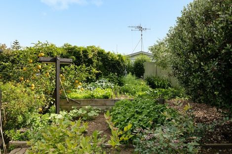 Photo of property in 5 Tanner Street, Tauranga South, Tauranga, 3112