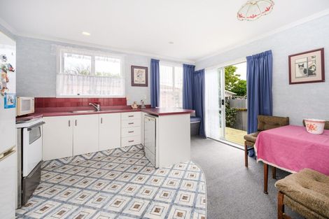 Photo of property in 42 Ihle Street, Terrace End, Palmerston North, 4410