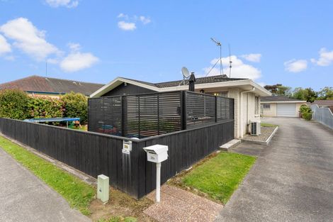 Photo of property in 38a Wood Street, Takaro, Palmerston North, 4410