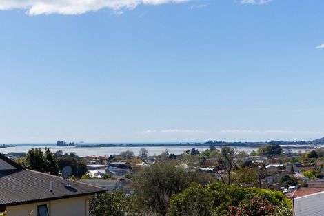 Photo of property in 5 Croisilles Place, Richmond, 7020