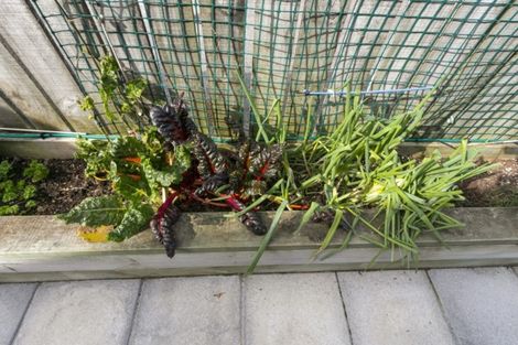 Photo of property in 6 King Street, Petone, Lower Hutt, 5012