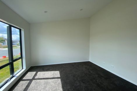 Photo of property in 29 Maggie Place, Chartwell, Hamilton, 3210