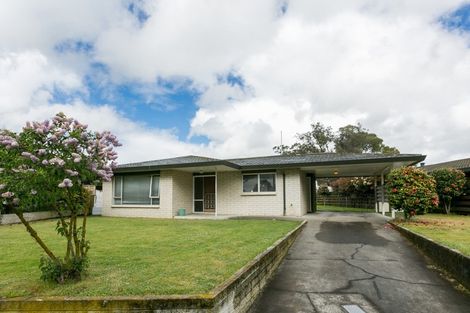 Photo of property in 173 Flaxmere Avenue, Flaxmere, Hastings, 4120