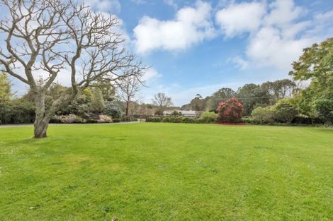 Photo of property in 300 Three Mile Bush Road, Te Kamo, Kamo, 0185