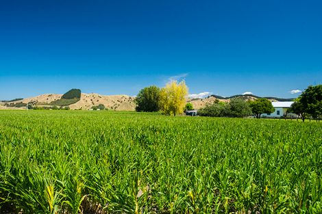 Photo of property in 373 Tiniroto Road, Patutahi, Gisborne, 4072