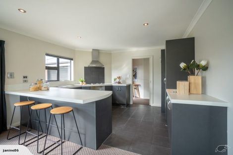 Photo of property in 137 Wyndham Street, Ashhurst, 4810