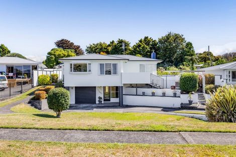 Photo of property in 8 Mahoe Street, Strandon, New Plymouth, 4312