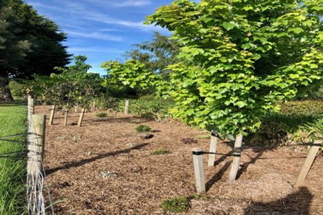 Photo of property in 53 Mclaughlins Road, Darfield, 7571